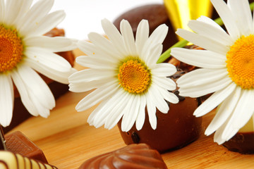 Obraz premium lecker pralinen #69