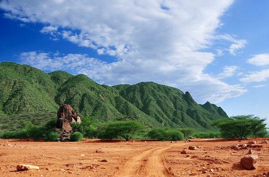 African Landscape