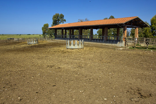 Mangiatoia per le mucche della fattoria