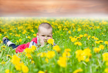 little boy in flowers field