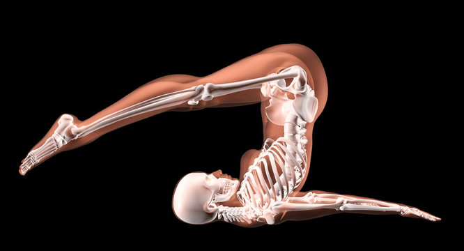 Female Skeleton In Yoga Position