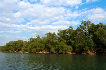Fototapeta na wymiar rzeki wyspa