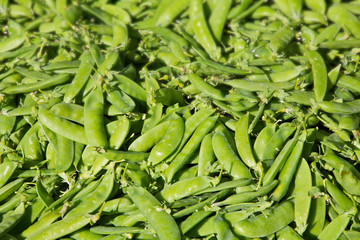 Pile of Snap peas foward focus