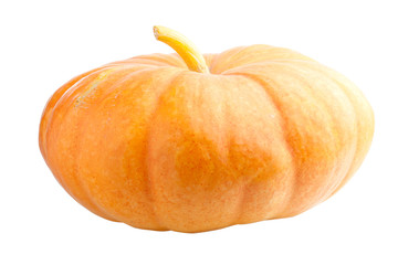 Big pumpkin