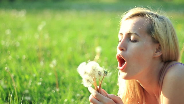 girl blowing on white dandelions on green field, slow motion