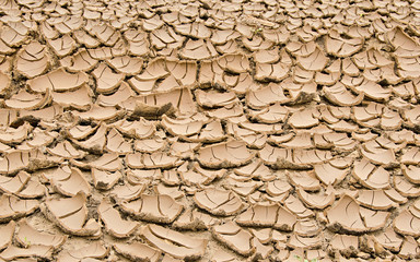 Dry soil at summer