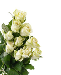 bunch of white roses