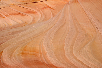 The Wave detail, Paria canyon, Arizona