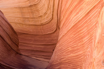 The Wave detail, Paria canyon, Arizona