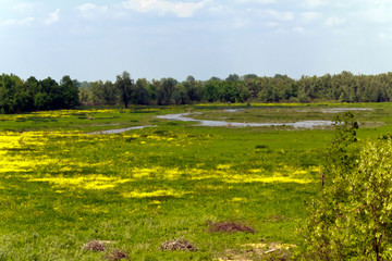 Ried,und Naturschutzgebiet,Obeda