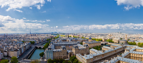 Obraz premium The view from Notre Dame in Paris skyline.