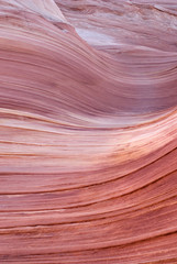 The Wave detail, Paria canyon, Arizona
