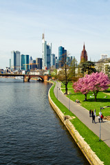 Skyline of of the business and financial center Frankfurt