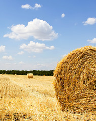 Straw bales in a field with blue sky