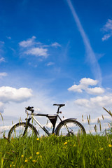 Fototapeta premium bike