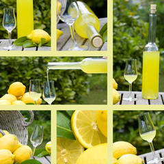 Collage with motifs of limoncello
