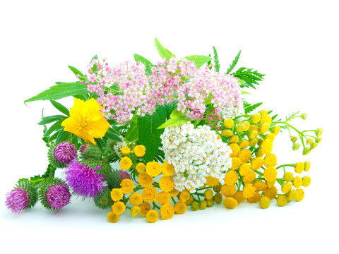 a bouquet of wildflowers
