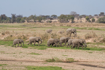 Obraz premium Way home