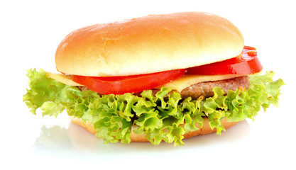 Sandwich isolated on white