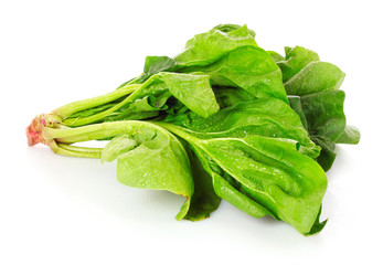Bunch of spinach isolated on white background