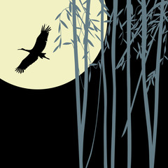 Bamboo background