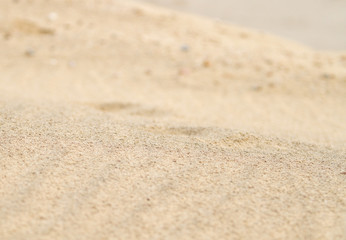 Fototapeta na wymiar 砂丘の表面