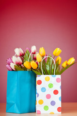 Tulips in the bag against gradient background