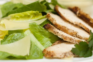 Meat with green lettuce