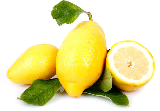 Limoni di Sorrento