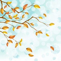 Light blue background with foliage. Includes Transparencies