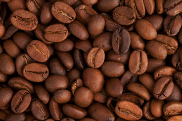 Coffee beans closeup