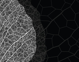 nature theme vector banner. eps10