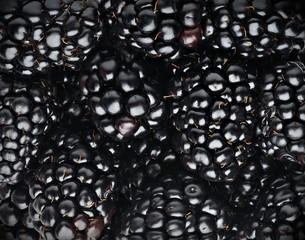 Blackberry fruits, horizontal food background