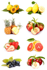 Insieme di frutta mista Biologica