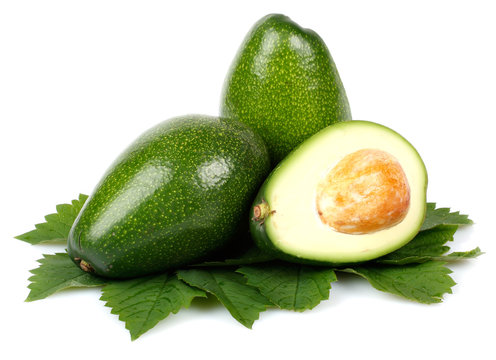 Avocado