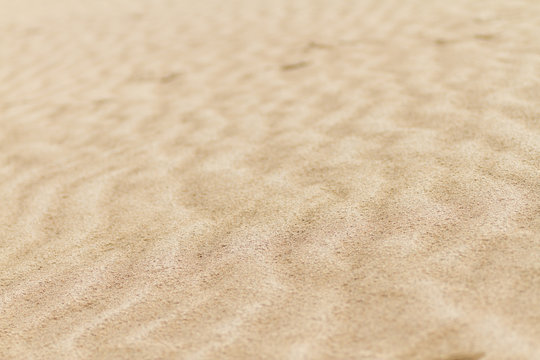 砂丘の模様