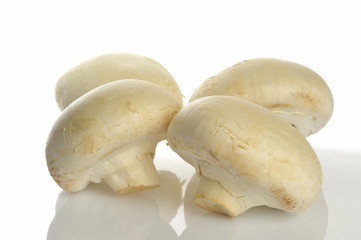 champignon blanc