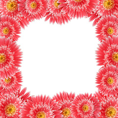 Beautiful border from fresh flowers on a white background