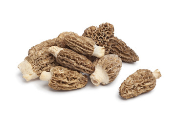 Fresh Morel mushrooms