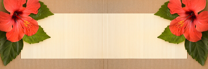 paper texture with fresh flowers for banner