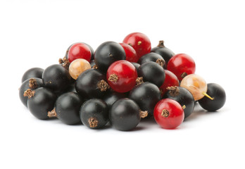 currant