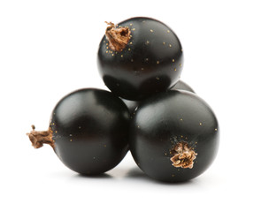 blackcurrant