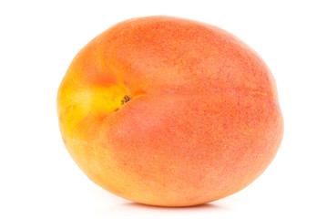 apricot