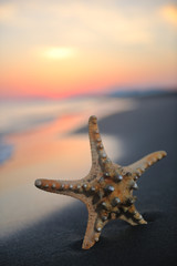 Fototapeta na wymiar summer beach sunset with star on beach