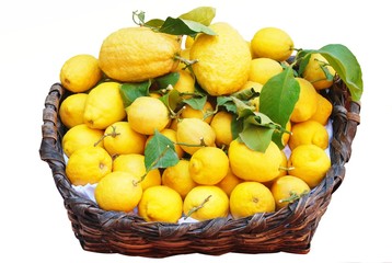 panier de citrons