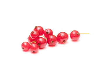 red currant