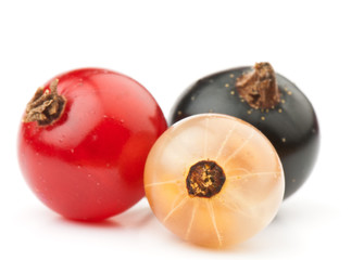currant