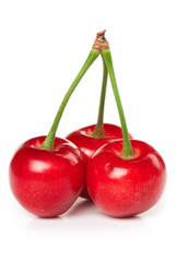 Sweet cherry