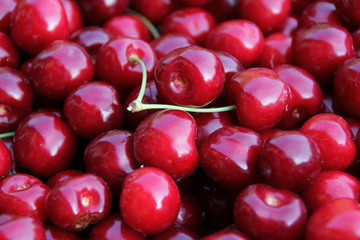 Cerises