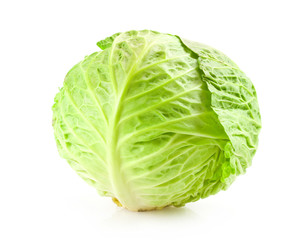 Fototapeta premium cabbage